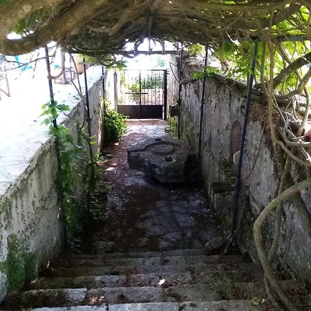 Tatil Evi Driftwood