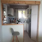 Driftwood * Tragaki