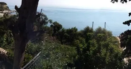 Driftwood * טרגקי